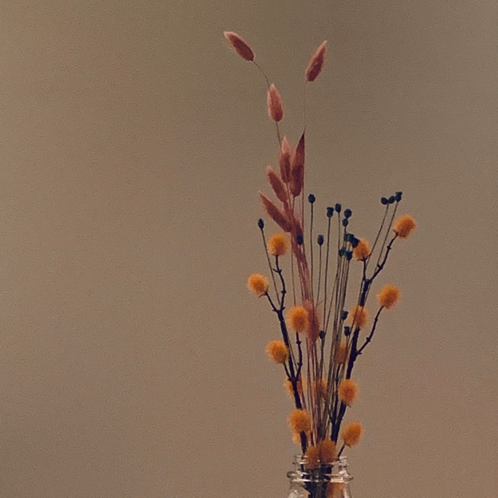 🌾 DIY Flower Kit 🌾
